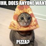 mi mi mi mi mi | UHH, DOES ANYONE WANT; PIZZA? | image tagged in pizza cat | made w/ Imgflip meme maker
