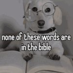 None of these words are in the bible