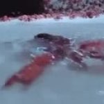 Dancing Crab Water GIF Template