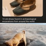 Shoes | image tagged in gifs,shoes,shoe,memes,i see this as an absolute win,wait what | made w/ Imgflip video-to-gif maker