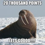 YAY | 20 THOUSAND POINTS; LETS GOOOO!!!! | image tagged in walrusman72 | made w/ Imgflip meme maker