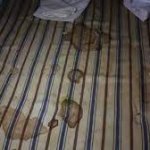 Dirty Mattress Stains