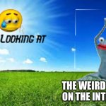 You looking at | THE WEIRD S*@# ON THE INTERNET | image tagged in you looking at | made w/ Imgflip meme maker