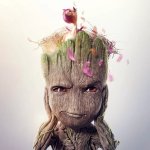 groot
