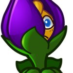 PvZ Shrinking Violet
