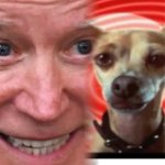 Joe Biden with Taco Bell dog