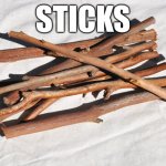 Bundle of Sticks | STICKS | image tagged in bundle of sticks | made w/ Imgflip meme maker
