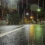 Rainy road GIF Template