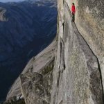 Alex Honnold