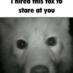I hired this Fox to stare at you meme