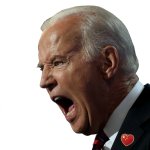 JOE BIDEN SCREAMING MAD