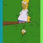 Homer Appearing / Disappearing meme