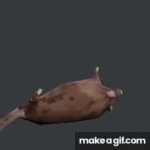 High quality spinning rat GIF Template