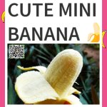 Cute Mini Banana