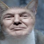 Donald trump cat
