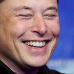 Musk cackle