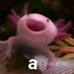 Axolotl "a" meme