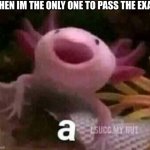 I supose i'm intelligent | WHEN IM THE ONLY ONE TO PASS THE EXAM: | image tagged in axolotl a meme | made w/ Imgflip meme maker