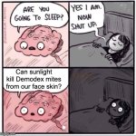 Sunlight and face mites | Can sunlight kill Demodex mites from our face skin? | image tagged in insomnia brain can't sleep blank,demodex,face mites | made w/ Imgflip meme maker