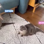 Front Facing Kotaro And Hana