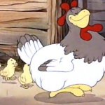 Chicks following mother hen