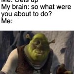 welp its never getting done ig | Me: Gets up
My brain: so what were 
you about to do?
Me: | image tagged in shrek | made w/ Imgflip meme maker