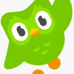 name a more iconic duo.. I’ll wait. | image tagged in memes,duolingo owl,name a more iconic duo | made w/ Imgflip meme maker