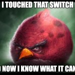 To all u Robbie Williams fans! | I TOUCHED THAT SWITCH; AND NOW I KNOW WHAT IT CAN DO | image tagged in realistic angry bird big red | made w/ Imgflip meme maker