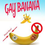 Gay Banana meme