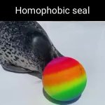 Homophobic seal meme