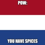 Netherlands Flag | POW:; YOU HAVE SPICES | image tagged in netherlands flag | made w/ Imgflip meme maker