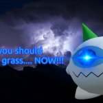 You should touch grass... NOW!!!