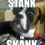 Funny Dog | STANK; THAT PUTS THE; IN; SKANK | image tagged in funny dog | made w/ Imgflip meme maker