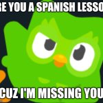 Duo the rizz lord | ARE YOU A SPANISH LESSON; CUZ I'M MISSING YOU | image tagged in duo rizz | made w/ Imgflip meme maker