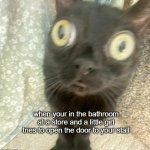 bathroom-catface | when your in the bathroom at a store and a little girl tries to open the door to your stall | image tagged in scared-cat-face | made w/ Imgflip meme maker
