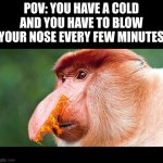 Pain!!! | POV: YOU HAVE A C0LD AND YOU HAVE TO BLOW YOUR NOSE EVERY FEW MINUTES | image tagged in big nose monkey,cold | made w/ Imgflip meme maker