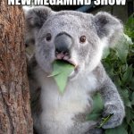 GASP! | ME SEEING THE NEW MEGAMIND SHOW | image tagged in memes,surprised koala,megamind | made w/ Imgflip meme maker