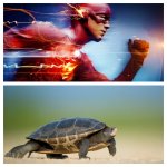 Flash turtle