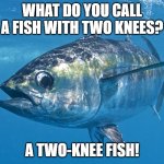 Daily Bad Dad Joke February 13, 2024 | WHAT DO YOU CALL A FISH WITH TWO KNEES? A TWO-KNEE FISH! | image tagged in tuna fish | made w/ Imgflip meme maker