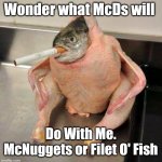 On break at The Grind | Wonder what McDs will; Do With Me. McNuggets or Filet O' Fish | image tagged in meh,memes,funny memes | made w/ Imgflip meme maker