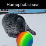 Homophobic seal in real life! | image tagged in gifs,seals,cute,homophobic,animals | made w/ Imgflip video-to-gif maker