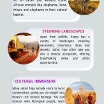 Best Kenya Safari Tours