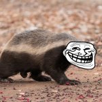 Honey Badger Troll Face