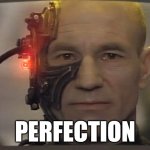 Locutus of Borg Perfection | PERFECTION | image tagged in locutus of borg,perfection | made w/ Imgflip meme maker