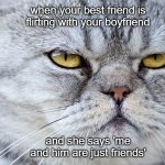 mad-kitty/face-with-bf | when your best friend is flirting with your boyfriend; and she says 'me and him are just friends' | image tagged in mad-cat-face | made w/ Imgflip meme maker