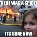 There was a spider....