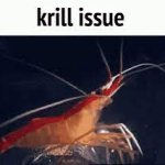 krill issue