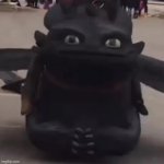 Toothless asking a question