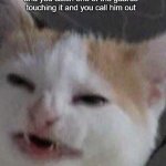 bruh-catface/cringe | when your at the museum and you catch one of the guards touching it and you call him out; and he says your in violation of insulting a guard | image tagged in cat,funny,cringe,bruh moment | made w/ Imgflip meme maker