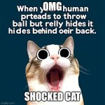 This is apparently the best meme in the world (ai generation: the funniest meme ever) | OMG; SHOCKED CAT | image tagged in the funniest meme ever | made w/ Imgflip meme maker